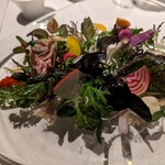 レフェルヴェソンス - 