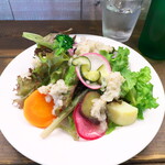 Il Germe - 午餐沙拉的分量令人惊讶！淋上了大量的洋葱醋汁调味酱。