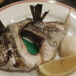 ごちそう処 きむら - 