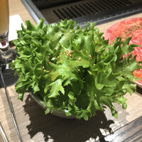 神楽坂焼肉 Kintan - サラノバレタスのチョレギサラダ