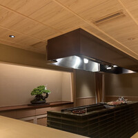 鳥匠いし井ひな - 