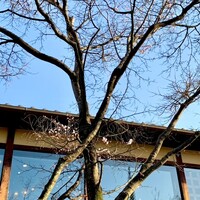 THE SODOH HIGASHIYAMA KYOTO - 