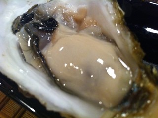 積丹浜料理 第八 太洋丸 - 西積丹寿都産（すっつ）寿牡蠣（ことぶきかき）５月～６月までの貴重逸品！