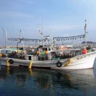 【以積丹和小樽為中心的直送海鮮】 產地全面合作才有的海濱價格