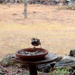 くつきそば 永昌庵 - 