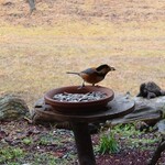 くつきそば 永昌庵 - 
