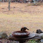 くつきそば 永昌庵 - 