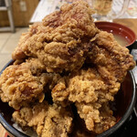 Karaage Hitosuji - マジで唐揚げ山盛り