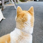 串焼き BUBU-TON - 