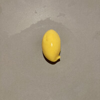 フランス料理 壺中天 - 