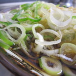 そば新 - 粗切りの長ねぎ。

ザクザクとした食感がアクセントに。


