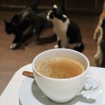 カフェきゃらふ - 後ろには猫たちの姿が。