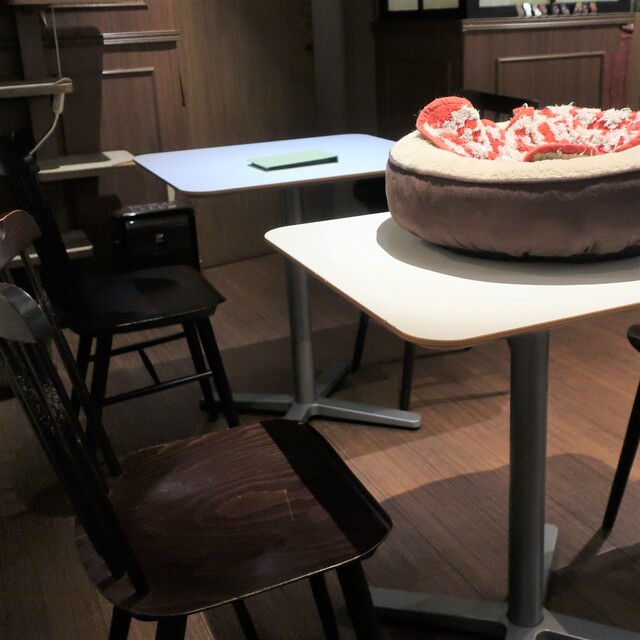 Cafe Kyarafu photo 4