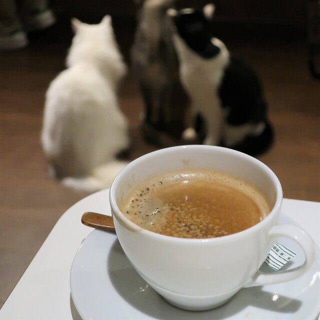 Cafe Kyarafu photo 2