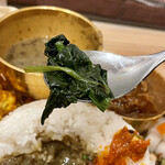 スパイスカレー あかつ亭 - サグ