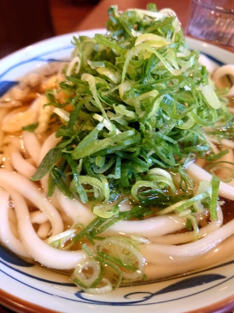 丸亀製麺 メガステージ白河店 - 新白河（うどん）の写真