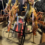 飛騨季節料理 肴 - 