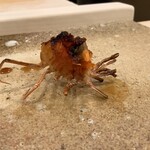 鮨 もりなり - エビ