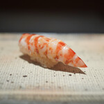 鮨 西崎 - 車海老