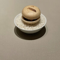 スガラボヴィー - 