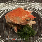 緒方 - 間人ガニのセコガニ