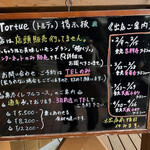 Tortue - 