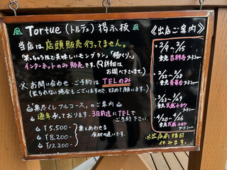 h Tortue - 