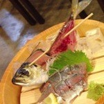 磯丸水産 - 水槽の活アジ　目の色がいいですね！