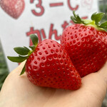 姫路ハートフル観光農園 - 