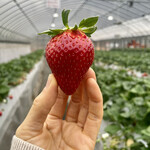 姫路ハートフル観光農園 - 