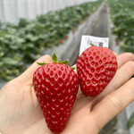 姫路ハートフル観光農園 - 