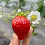 姫路ハートフル観光農園 - 