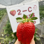 姫路ハートフル観光農園 - 