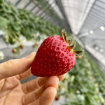 姫路ハートフル観光農園 - 