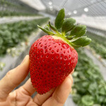 姫路ハートフル観光農園 - 