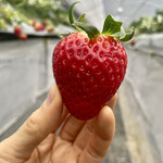 姫路ハートフル観光農園 - 