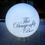 THE Dragonfly BAR - 