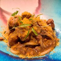 セルサルサーレ - 