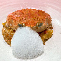 セルサルサーレ - 