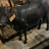 Mark Matsuoka Grill 中目黒 - 