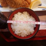 Washokuan - ヒレ串カツ/えびフライ盛り御膳_1870円　お茶碗の直径9cm