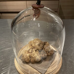 イル アオヤマ - 