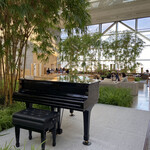 ピーク・ラウンジ - 