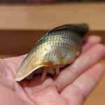 天ぷら たけうち - コハダ握り