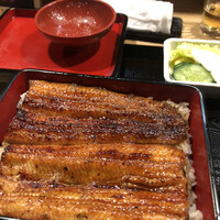 うなぎ 目白ぞろ芽 - 