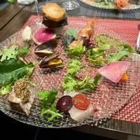 キャトルラパン - HOV