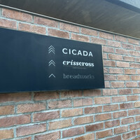 CICADA - 