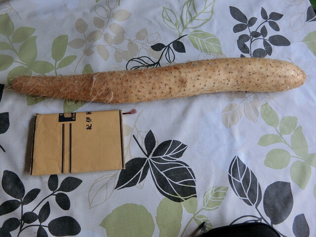 JA帯広かわにし 特産品直売所 - 帯広（その他）の写真