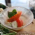 ZONA FORTUNATO - 