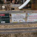 JAPANESE GELATERIA ASANOHA - 子ヤギが1匹で可哀そうです。